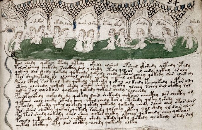 Image: Voynich_Manuscript_E (1000×644 278 KB)