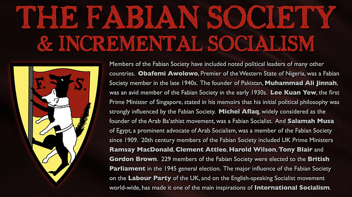 Image: 335 (1920×1080 503 KB)