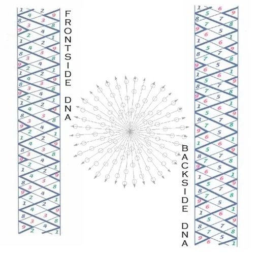 Image: 24.PNG (812×795 91.1 KB)