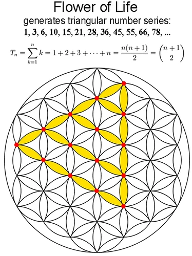 Image: Triangle(polygon)_encoded_in_flower_of_life.PNG (743×993 119 KB)