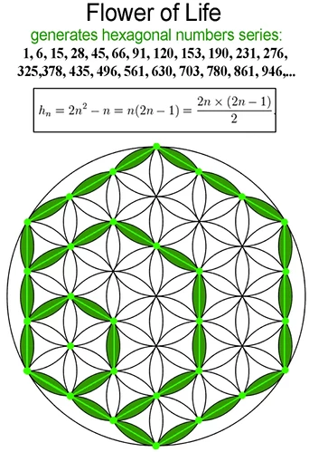 Image: Hexagon(polygon)_encoded_in_flower_of_life.PNG (668×974 123 KB)