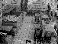 literature-for-and-about-timothy-mcveigh