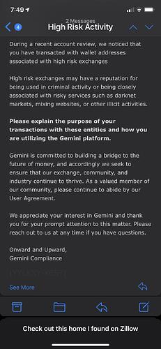 Image: gemini-high-risk-activity.jpeg (828×1792 133 KB)