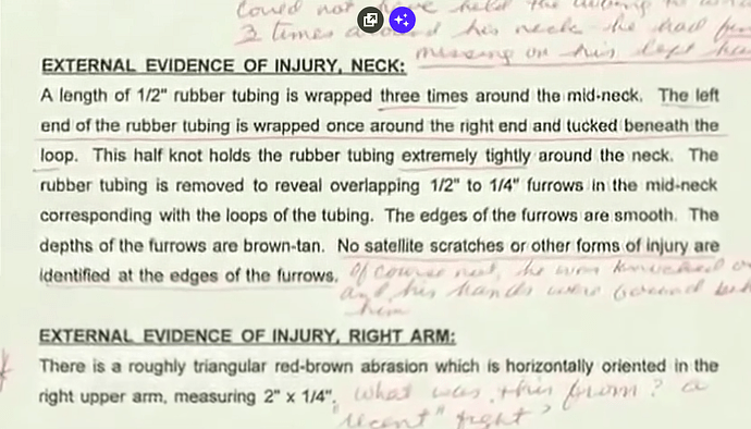 Image: phil-schneider-police-report-2 (1133×647 675 KB)