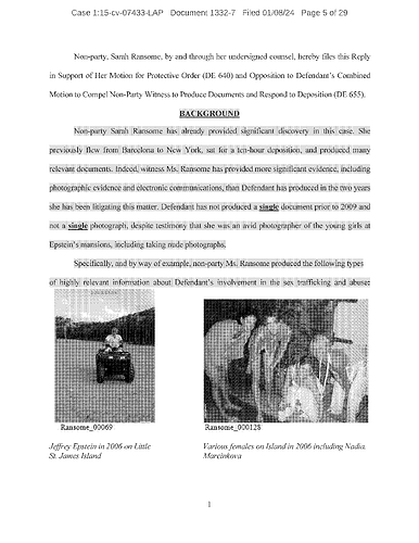 Image: 1332-epstein-documents-262-normal (4250×5500 253 KB)