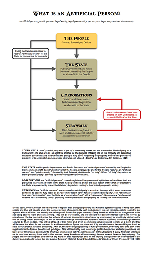 Image: image (1200×2000 255 KB)