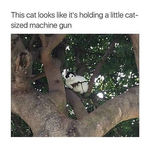 Image: 01dbb9bbeeb45ef0d1b883483c68a034cc14cb33 (1113×1113 240 KB)