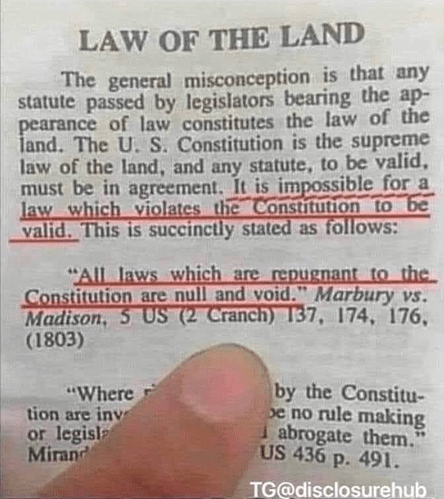 Image: image.png.793f64f3ec33b32d93747b22850c4e1f (714×804 483 KB)