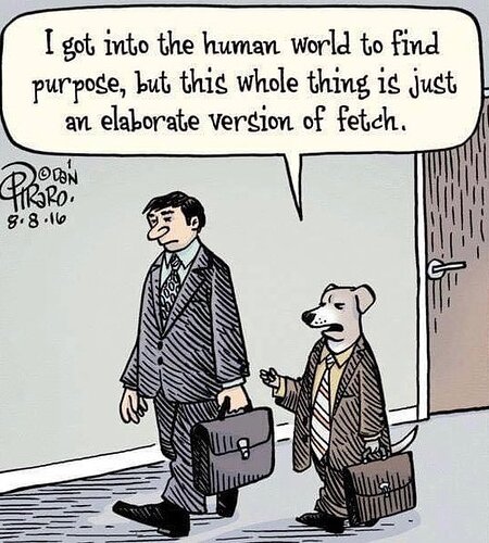 Image: IMG_4226.jpeg.c9685e4f9b68924735e02b328cd877a7 (542×602 81.1 KB)