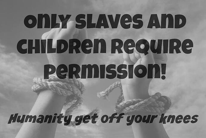 Image: slaves_children (880×592 47.5 KB)