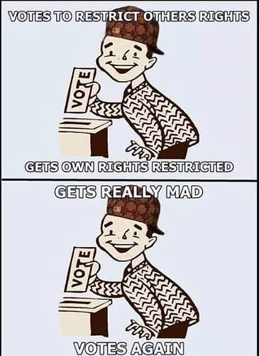 Image: voters_22 (480×656 35.3 KB)