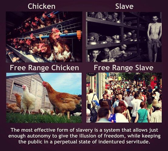 Image: slaves.jpg.888767a8b6bef0f489be05b7ad182969 (900×811 160 KB)