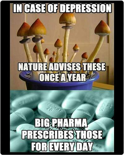 Image: 12990943_880964222012982_1030467164279620978_n (768×960 87.1 KB)