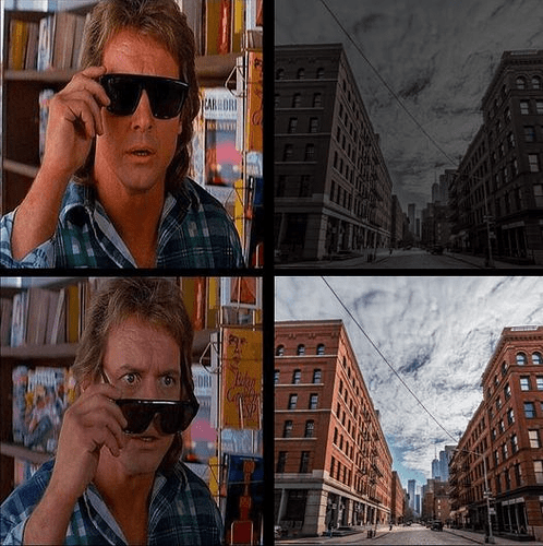 Image: they dont live (526×528 392 KB)