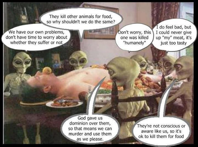 Image: mark-passio-121-012 (3000×2225 787 KB)