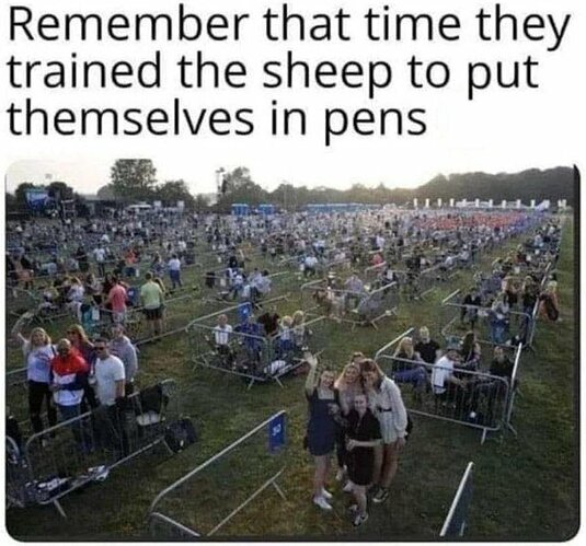 Image: sheep in pens (895×835 115 KB)