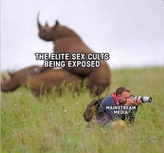 Image: 1405677611_MM8-3-20(40).jpg.ed64fe4486a0c69fde1d3994a26ae911 (900×837 68.5 KB)