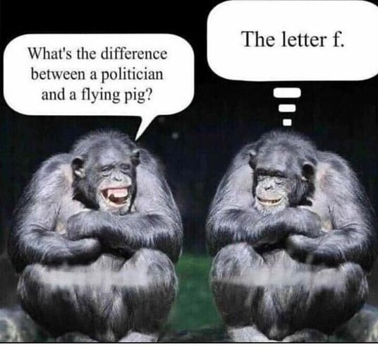 Image: a37f5f66cd383b1cc525e27da4a38f64d9bfce3b.jpeg.7ac5cc67fcec0ed24ac4385af3fe4aae (720×671 61.5 KB)