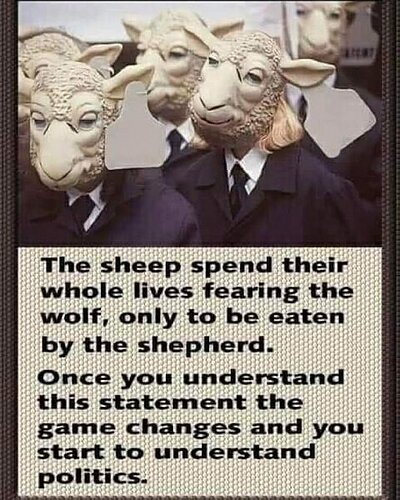 Image: TheSheep.jpg.498be0612e71f3093c6e758084e6a9cd (480×600 80.2 KB)