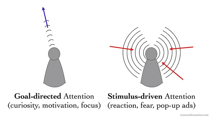 Image: Types-of-Attention (1600×900 108 KB)