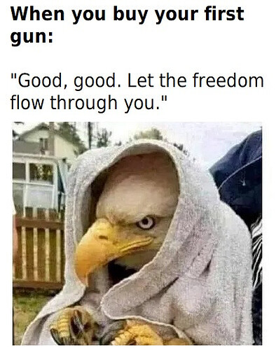 Image: firstgun (422×535 69.3 KB)