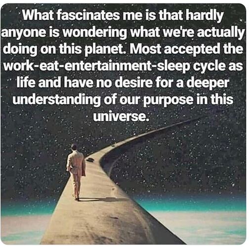 Image: faaaaaaacccccccccccre (819×811 112 KB)