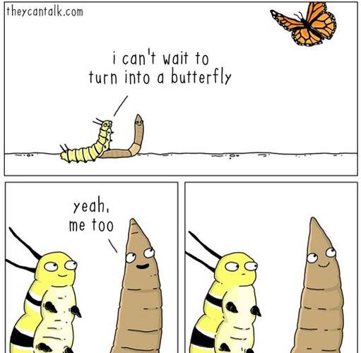 Image: 14713004_1092922114156080_5050016122538167260_o (1024×1001 69.2 KB)