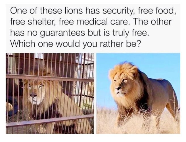 Image: Snip-it_1616525789288.jpg.6ad0c770b2b6cb7644ec7777c02d9b60 (900×686 98.3 KB)