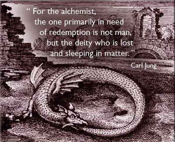 11898590_802525919866540_8397490443776809243_n