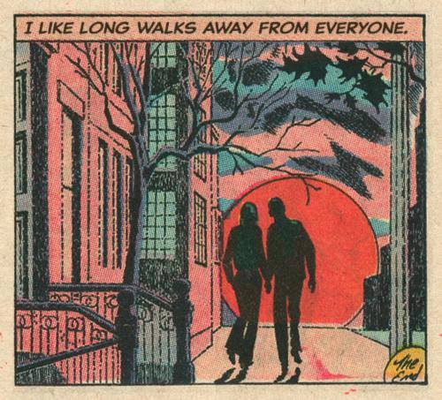 9158_971215949600056_5196137395644387117_n