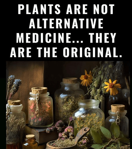 Image: e6h5r9ukbwif1 (739×831 553 KB)