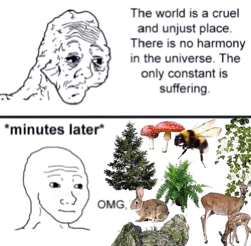 Image: dank nature meme (1080×1062 134 KB)