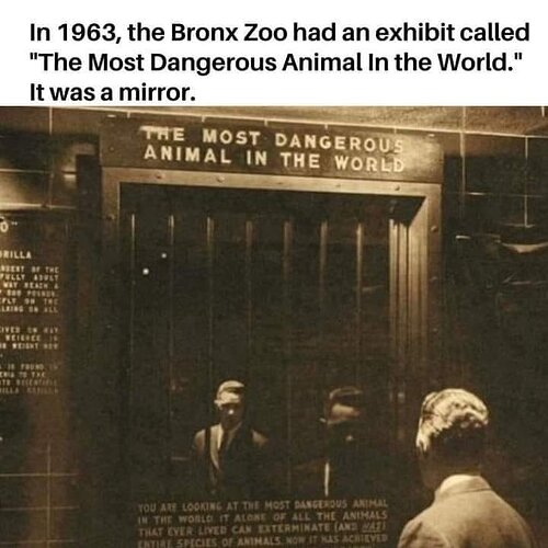 Image: animal.jpg.b92982b10f5253aa92b95468aaff678b (720×720 52.4 KB)