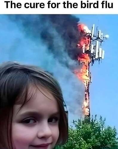 Image: cureforbirdflu (651×821 44.1 KB)