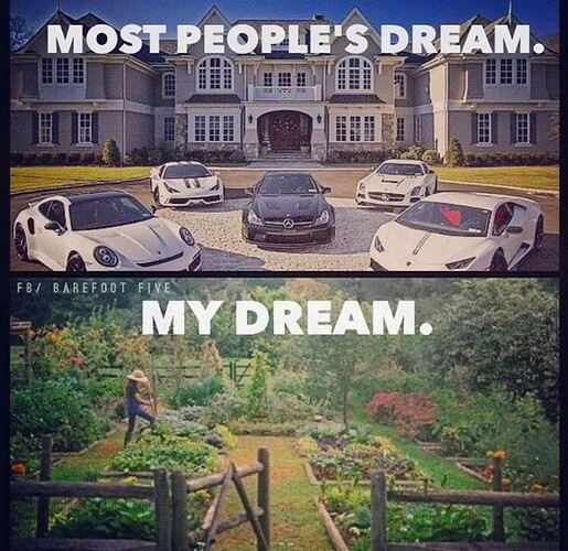 Image: ssrsdffff (615×597 157 KB)