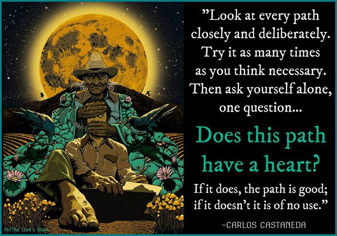 Image: 16587138_1760289590663379_6439164237791770849_o (1832×1280 273 KB) Image: 16587138_1760289590663379_6439164237791770849_o (1832×1280 273 KB)