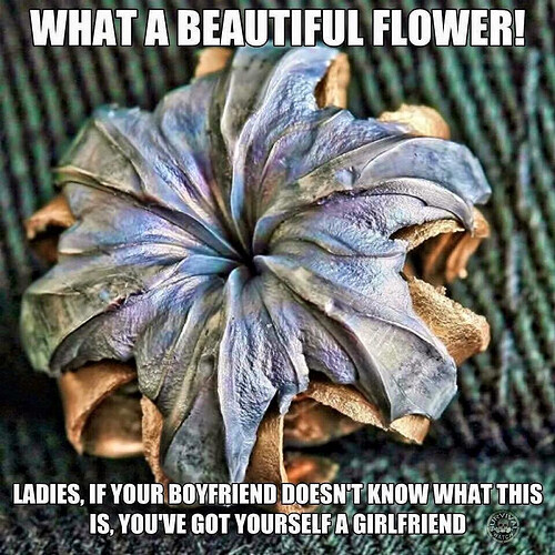 Image: f0fae7b3fa1dc14f346f7e59902fa610d79be693 (960×960 218 KB)