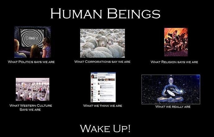 Image: whakeup! (960×614 60.4 KB)