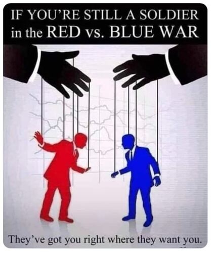 Image: rbbbbbbbbbbe (591×708 46.8 KB)