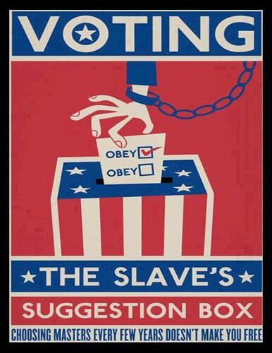 Image: votervoter (500×646 45.2 KB)