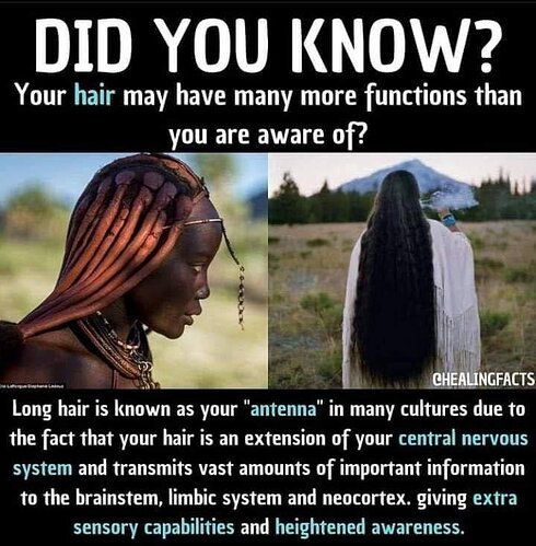 Image: -4922588943275371335_120.jpg.c4331a1779b073b07cf575d97d9e406c (720×734 74.6 KB)