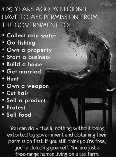 Image: -5093637420292877202_121.jpg.fb60d1ca925140a651590184781b0129 (668×900 123 KB)