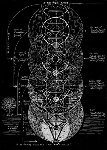 Image: tree_of_life (500×695 136 KB) Image: tree_of_life (500×695 136 KB)