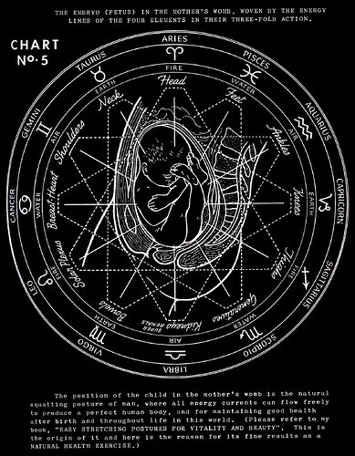 Image: polarity-therapy-v1b1c05lg (1401×1800 403 KB) Image: polarity-therapy-v1b1c05lg (1401×1800 403 KB)