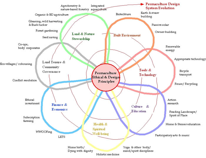 Image: permaculture-flower (700×538 55.7 KB) Image: permaculture-flower (700×538 55.7 KB)