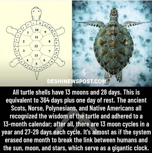 Image: -5852664433346722682_121.jpg.62bccd0e9319a7f7d921835c3991cc29 (898×900 160 KB) Image: -5852664433346722682_121.jpg.62bccd0e9319a7f7d921835c3991cc29 (898×900 160 KB)