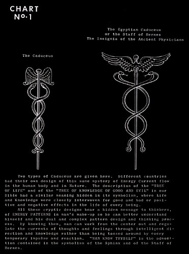 Image: polarity-therapy-v1b1c01lg (1337×1800 242 KB) Image: polarity-therapy-v1b1c01lg (1337×1800 242 KB)