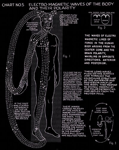 Image: polarity-therapy-v1b2c05lg (1438×1800 508 KB) Image: polarity-therapy-v1b2c05lg (1438×1800 508 KB)