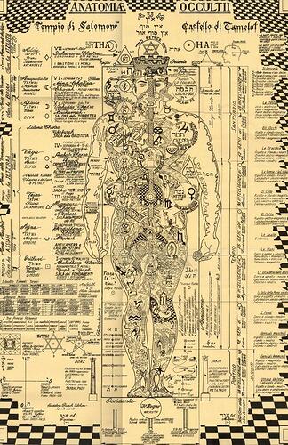 Image: occult_anatomy3.cleaned (736×1133 280 KB) Image: occult_anatomy3.cleaned (736×1133 280 KB)