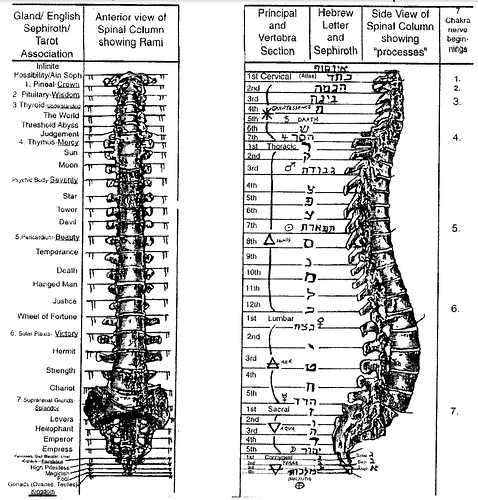 Image: spine_divinity.cleaned (732×765 90.7 KB) Image: spine_divinity.cleaned (732×765 90.7 KB)